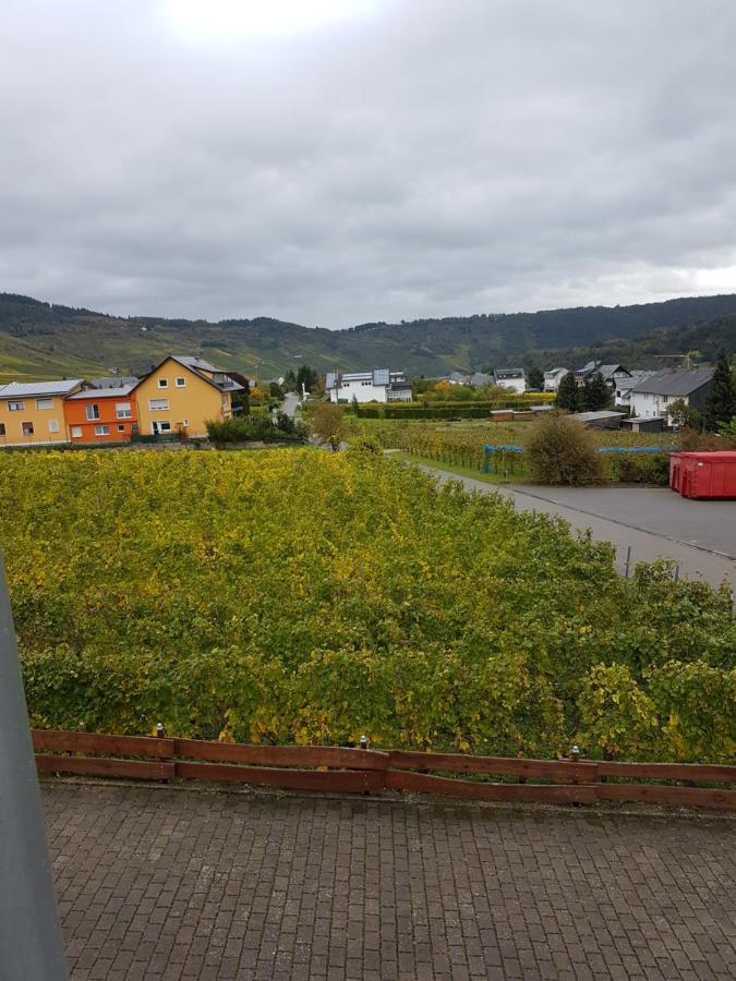 Ferienweinhaus Roemer-Knodt Kröv Eksteriør billede